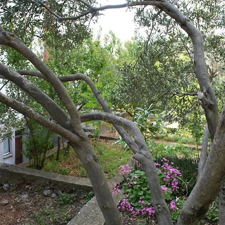 518d Apartament *