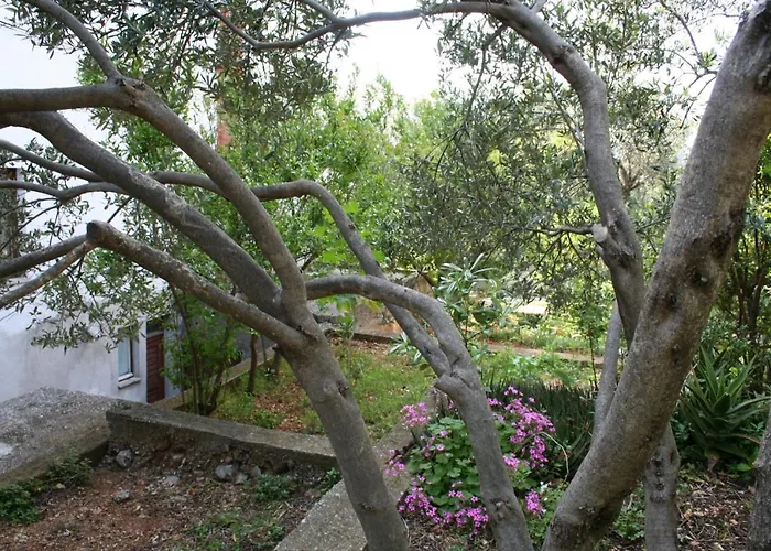 518d Apartament *