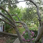 518d דירה *